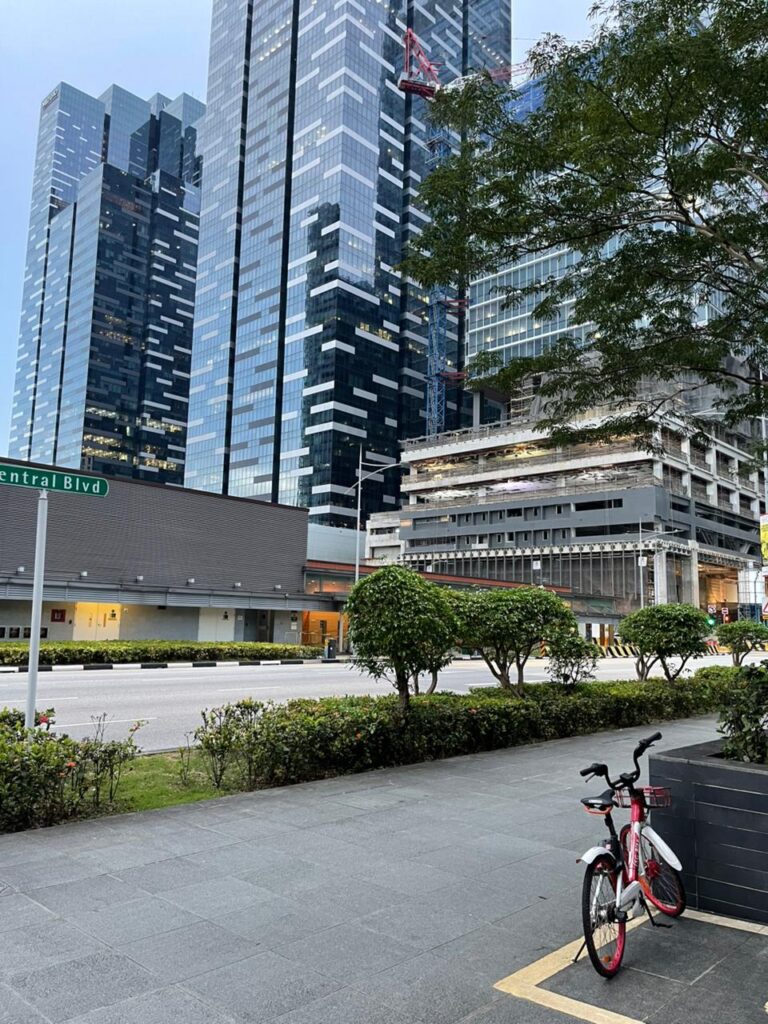 whatsapp image 2025 11 13 at 7.23.22 am